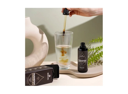 Solve Labs Mushroom Complex (4 grzyby) w kroplach 60ML