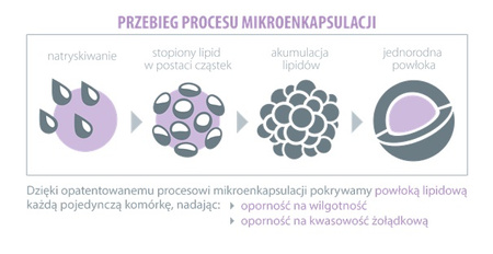 ALINESS ProbioBALANCE, Drożdzaki Saccharomyces Boualardii 5 mld/250mg x 30 vege caps. 